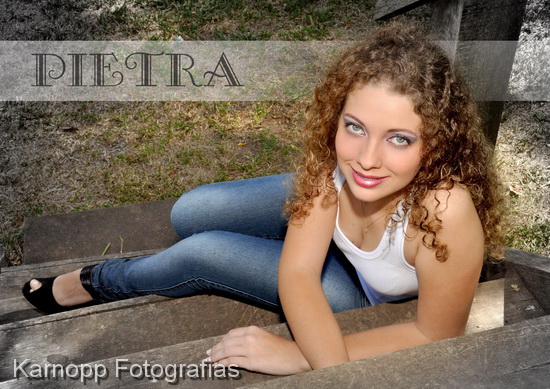 Pietra Fel�cia Wendler - Book